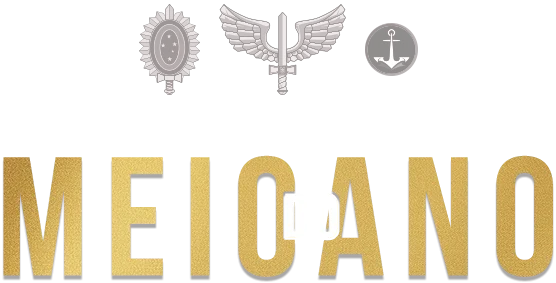 LOGO MOBILE TURMA DO MEIO DO ANO 2